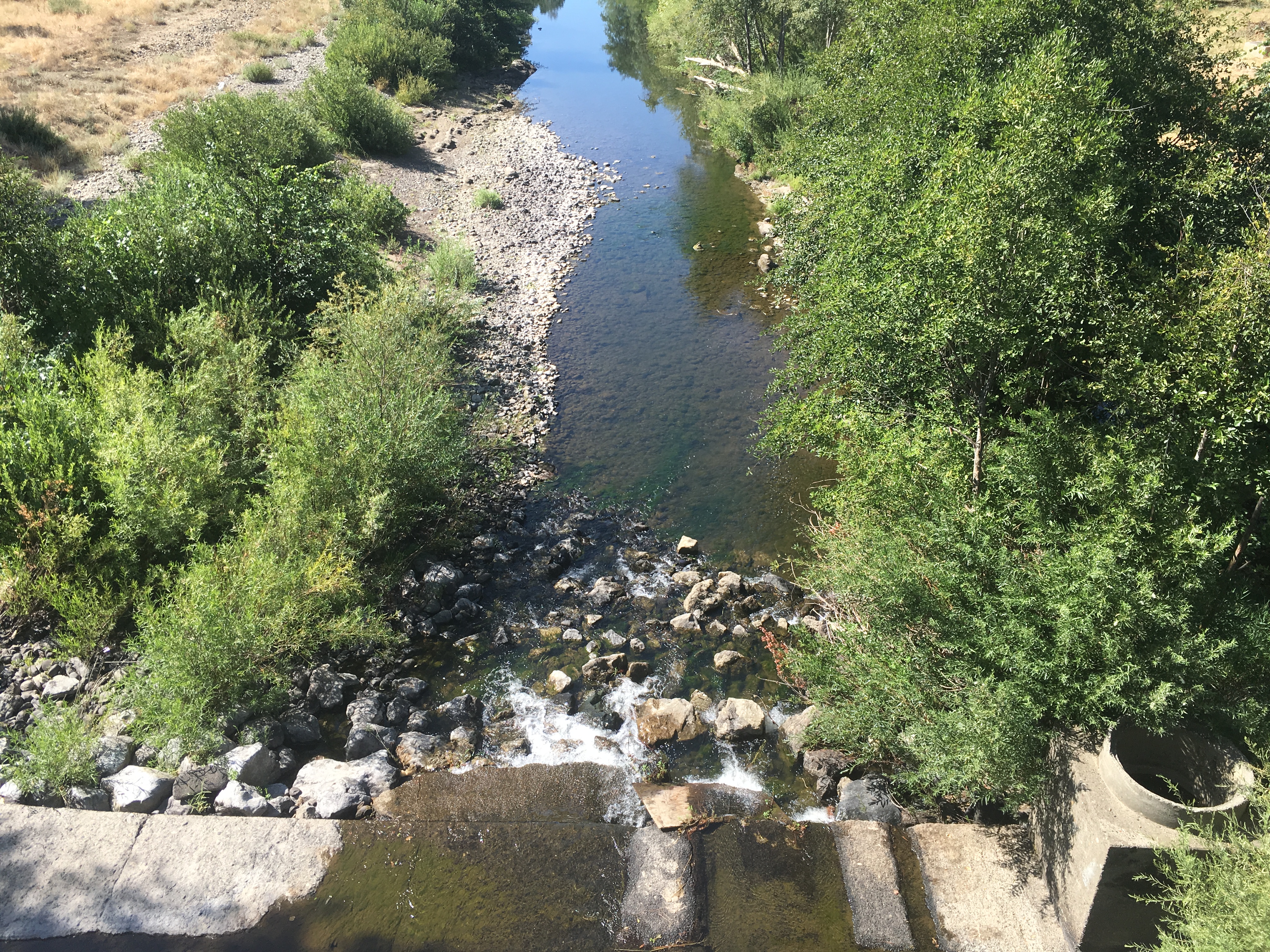 Picture of the barrier in North Cow Creek looking downstream